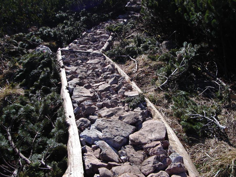 schneibstein032.jpg