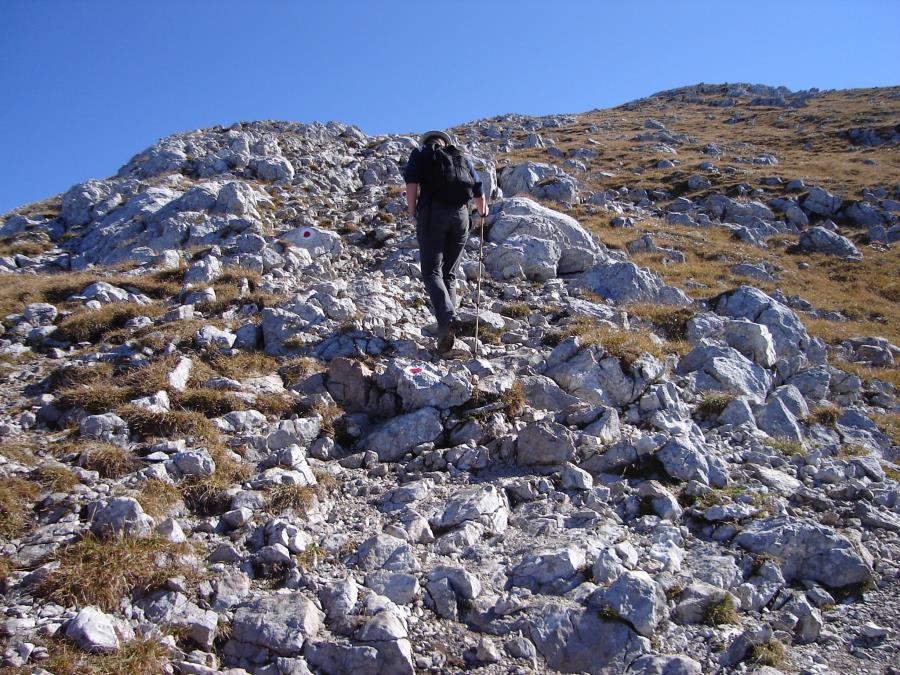 schneibstein046.jpg