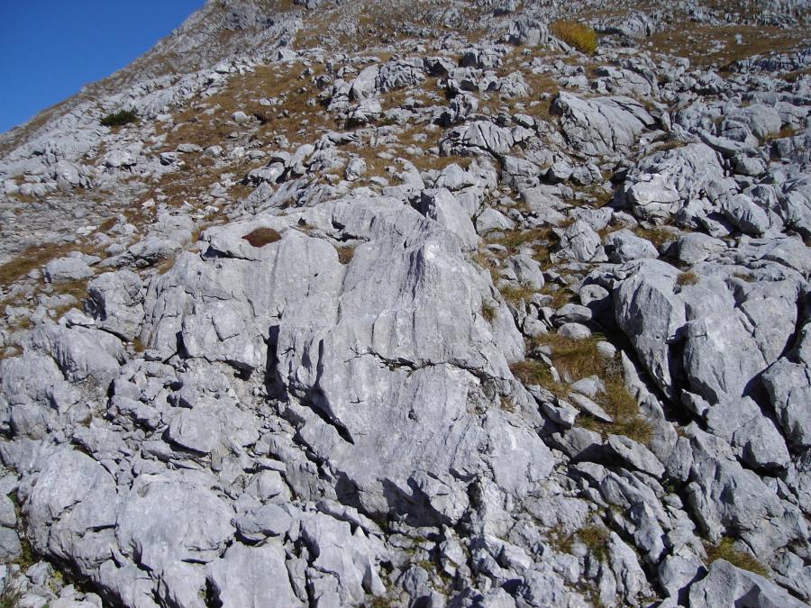 schneibstein074.jpg