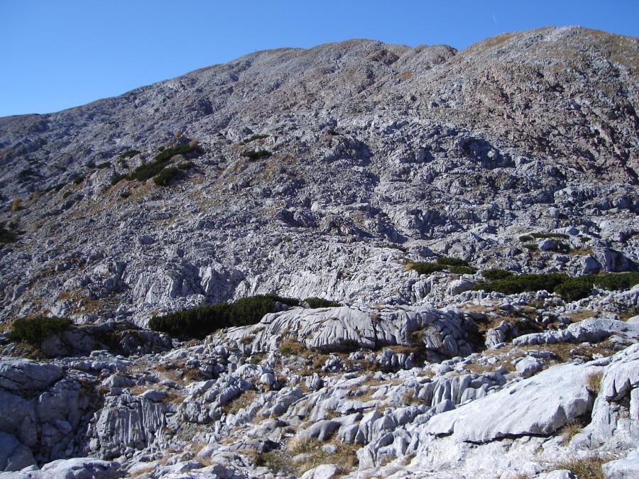 schneibstein076.jpg