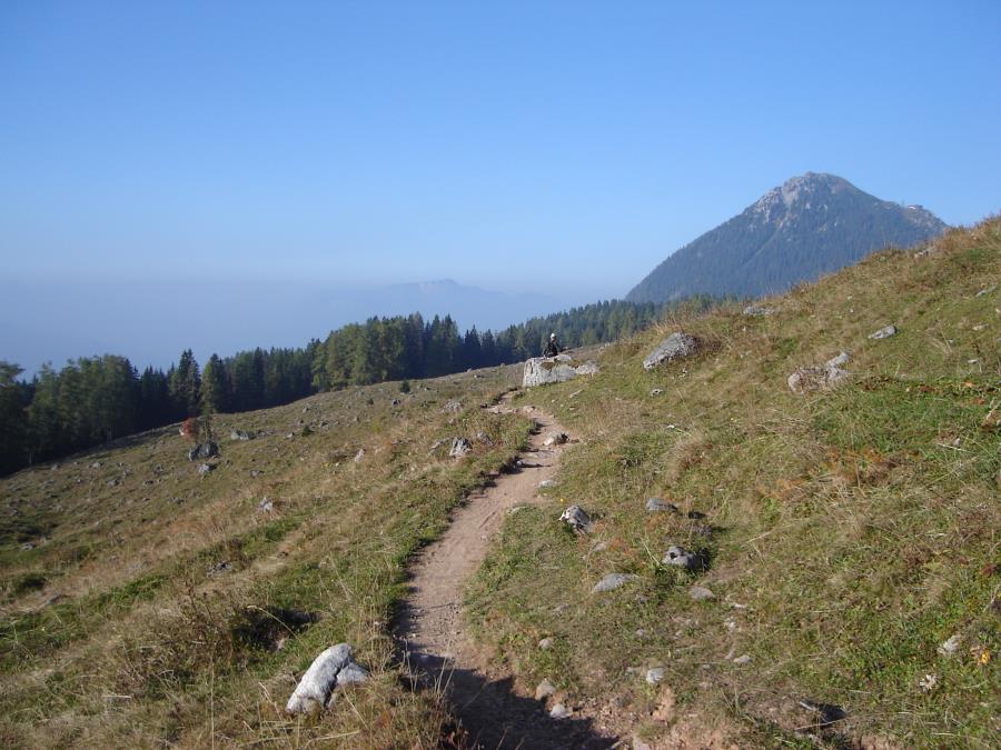 schneibstein101.jpg