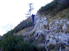 schneibstein029.jpg