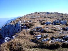 schneibstein051.jpg