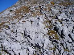 schneibstein074.jpg