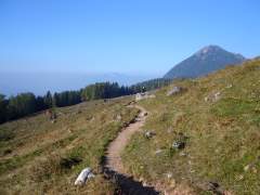 schneibstein101.jpg