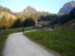 schneibstein114.jpg