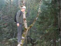 schneibstein116.jpg