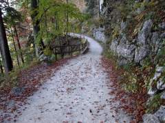 schneibstein118.jpg