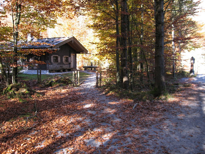 rinnkendl013.JPG