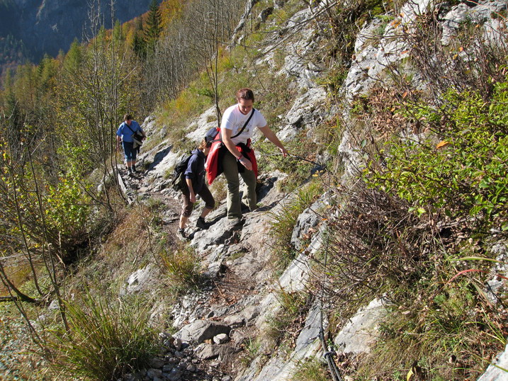 rinnkendl025.JPG