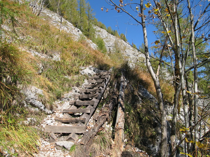 rinnkendl039.JPG