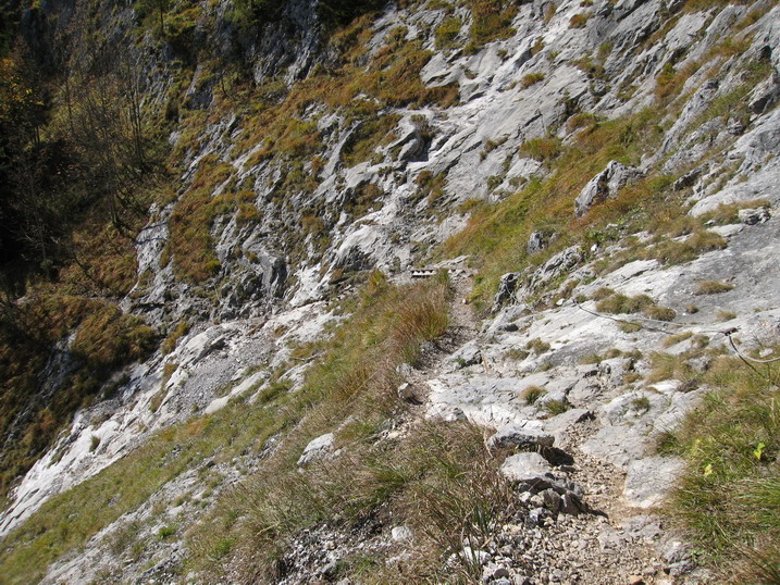 rinnkendl060.JPG