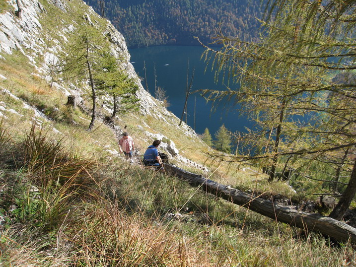 rinnkendl062.JPG