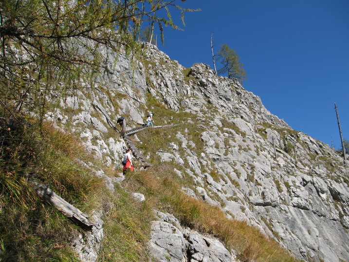 rinnkendl063.JPG