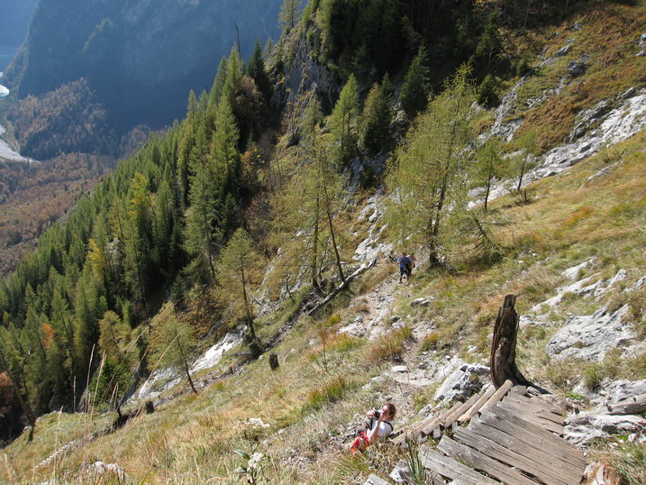 rinnkendl066.JPG