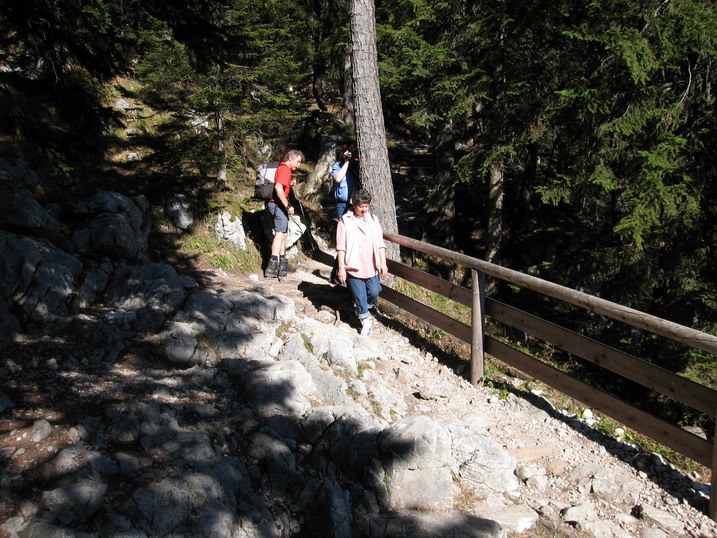 rinnkendl087.JPG