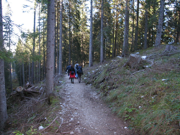 rinnkendl099.JPG