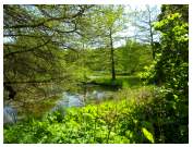 kurpark20.JPG