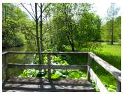 kurpark31.JPG