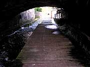 P5304023.jpg