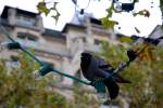Paris009.JPG