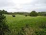 Pa100009.jpg