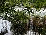 Pa100036.jpg