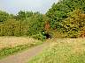 Pa100075.jpg