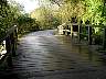 Pa100083.jpg