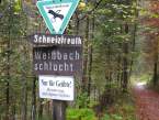 weissbach15.JPG