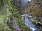 weissbach42.JPG